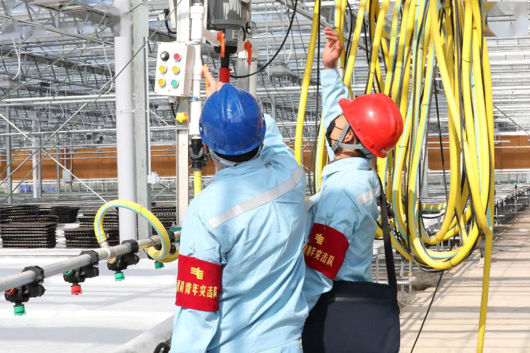 草海機(jī)場(chǎng)最新動(dòng)態(tài)揭秘，建設(shè)進(jìn)展、航班信息及未來(lái)展望