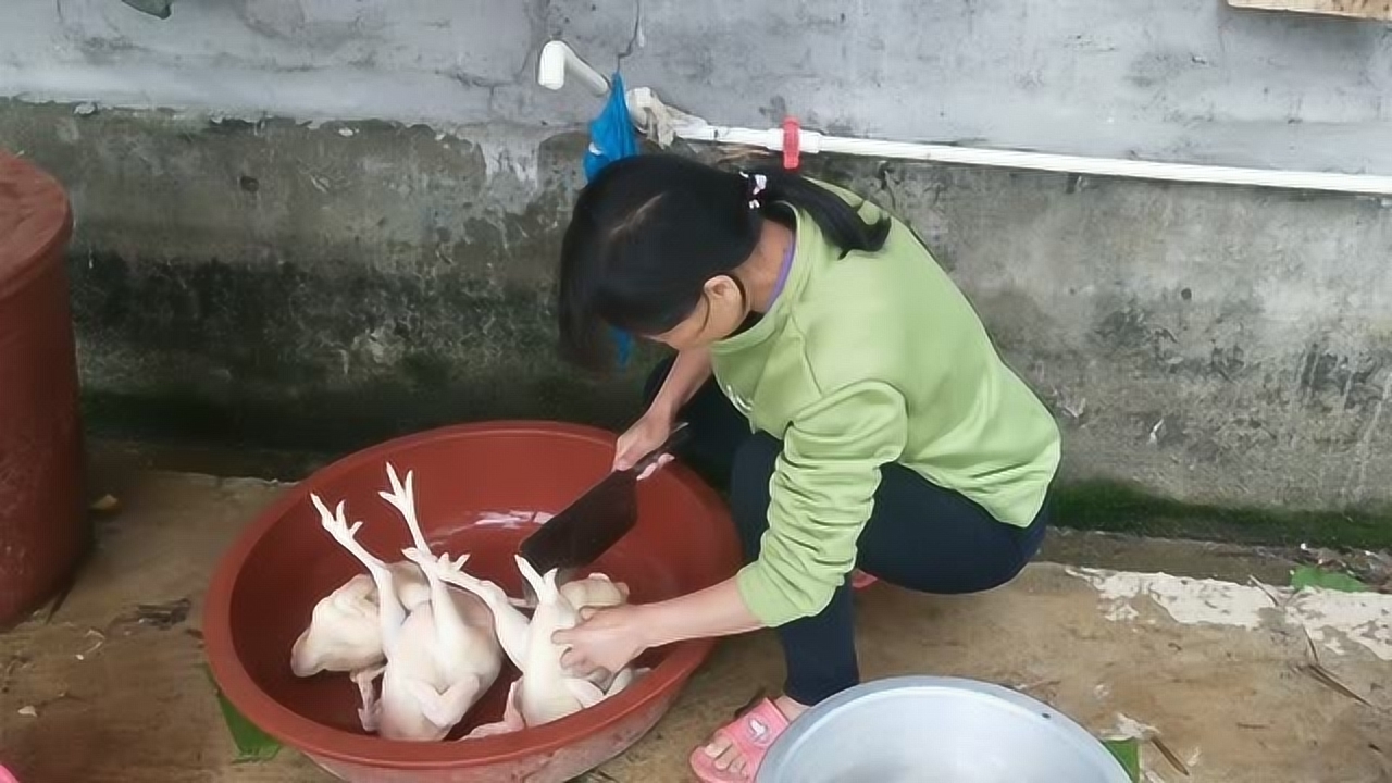 關(guān)于阿梅殺雞視頻的理性分析與網(wǎng)絡(luò)倫理道德探討，警惕涉黃內(nèi)容侵蝕社會(huì)倫理底線。