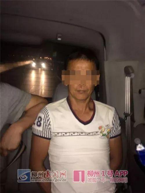 鹿寨最新租房信息，科技智能引領(lǐng)租房新體驗(yàn)