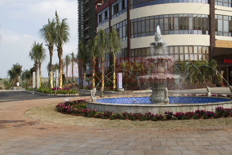 棕櫚水城最新動態(tài)，塑造理想生活新標(biāo)桿！