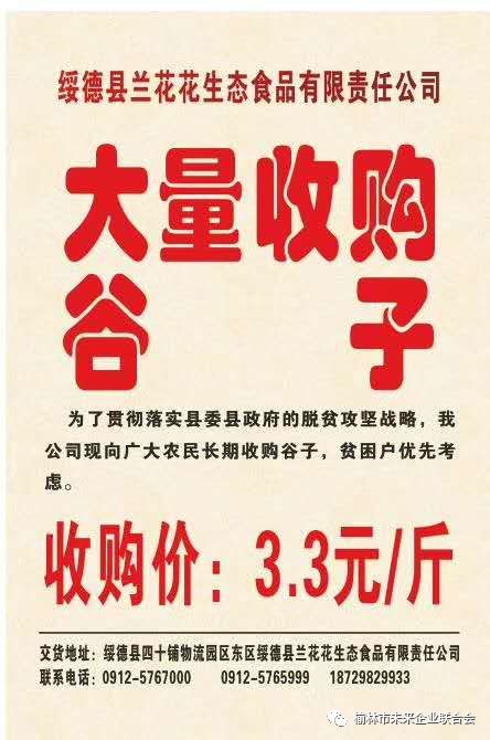 淄川最新財(cái)務(wù)招聘，職業(yè)發(fā)展的理想選擇
