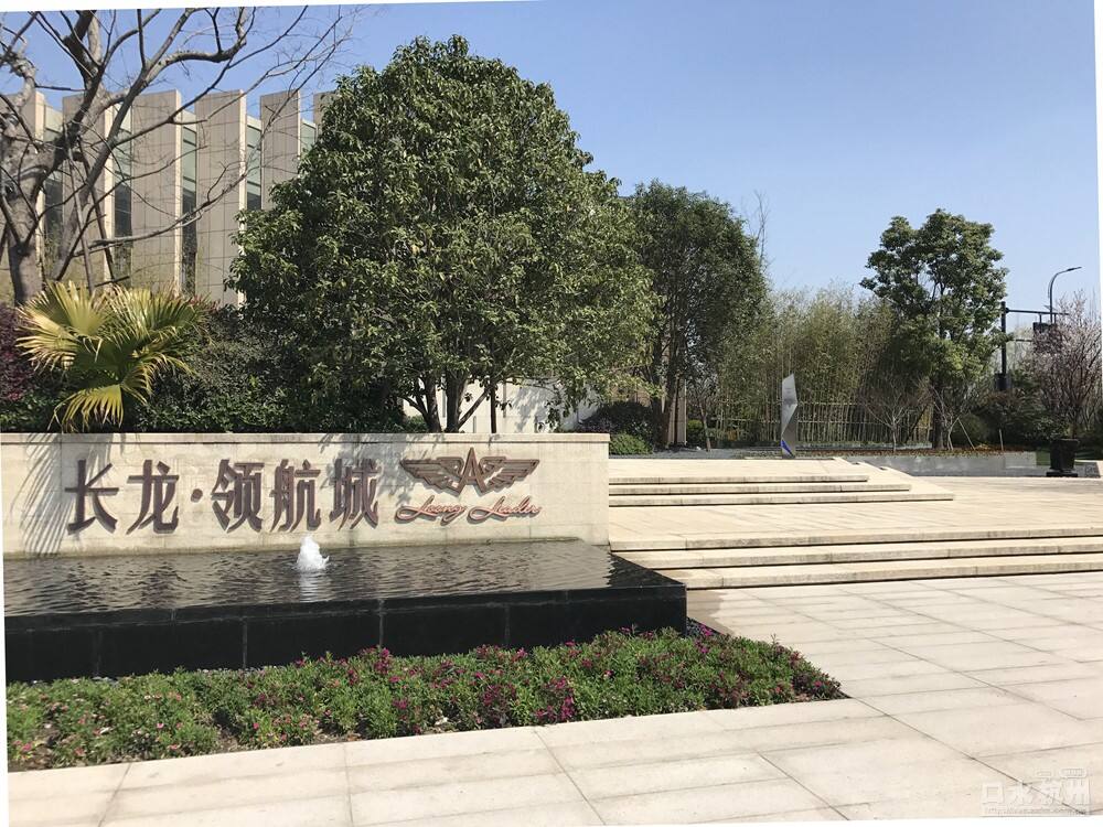 長龍領(lǐng)航最新動態(tài)，駕馭變革，開啟知識海洋的勵志之旅