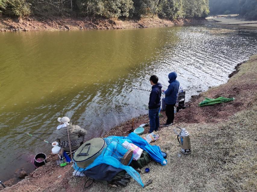 最新水庫(kù)釣魚(yú)視頻，探索釣魚(yú)樂(lè)趣與技巧全攻略