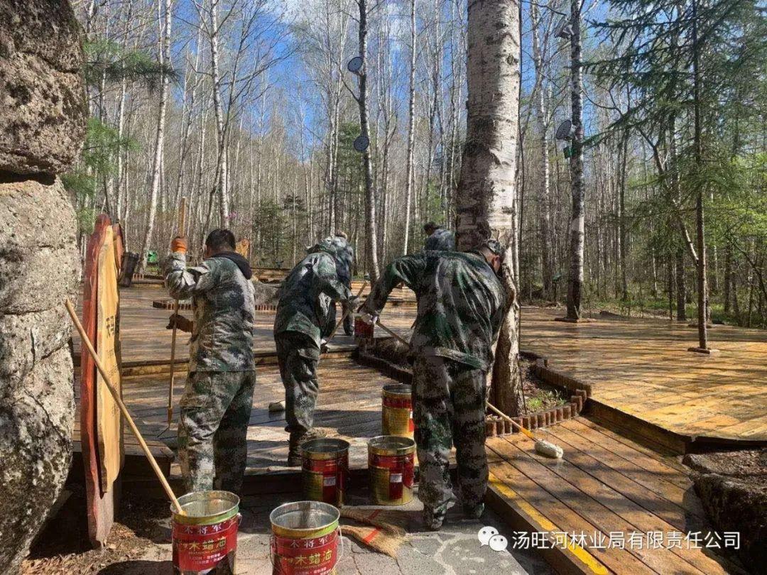 探尋神秘寶石世界的獨(dú)特魅力，最新奇石新聞報(bào)道