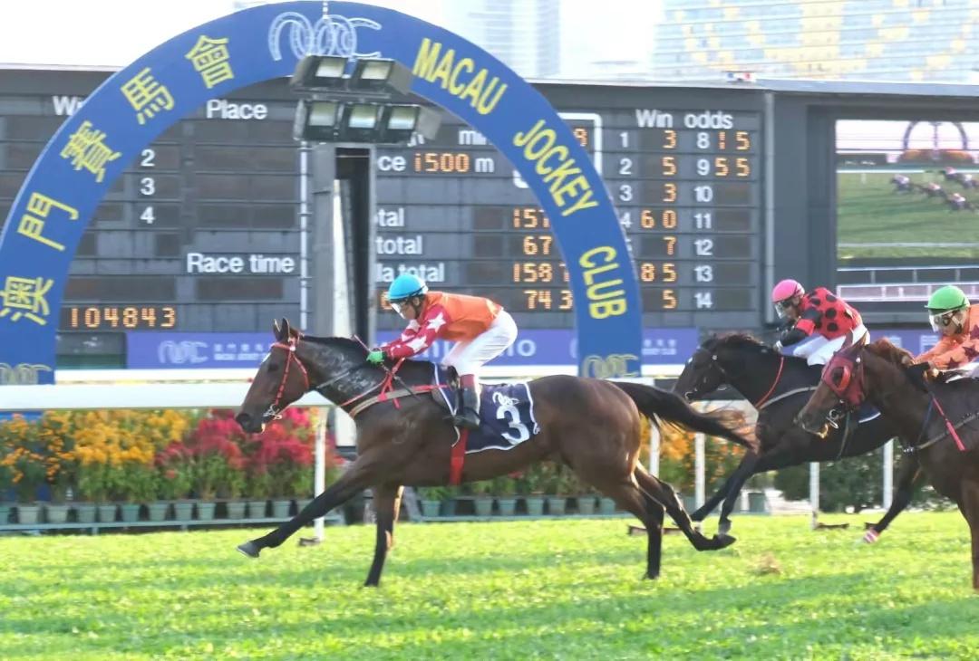 馬會(huì)澳門(mén)一傳真,專(zhuān)業(yè)解讀方案實(shí)施_CSF27.813原創(chuàng)版