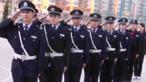 寧國最新保安招聘及其探討，行業(yè)現(xiàn)狀與發(fā)展趨勢分析