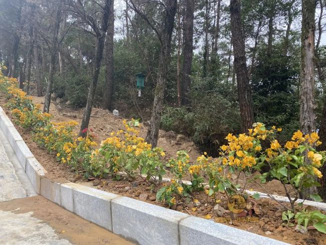 桂平手工，傳統(tǒng)與創(chuàng)新的完美交融