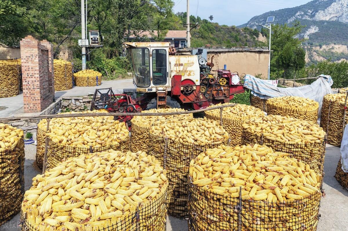 燈飾燈具 第325頁