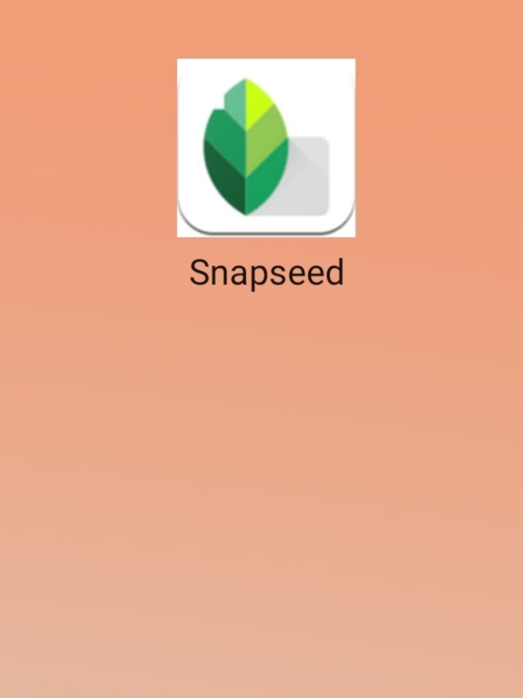 最新snapseed中文版，科技重塑影像，讓生活因攝影更精彩