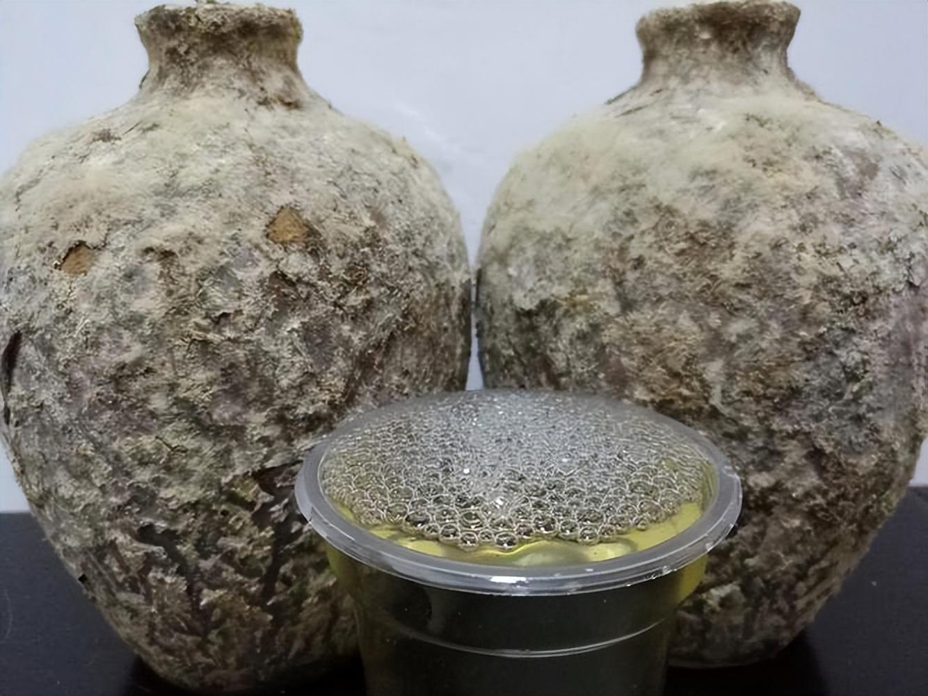 仁懷房屋出售最新信息，科技與家居融合，未來(lái)家居新體驗(yàn)重磅推出