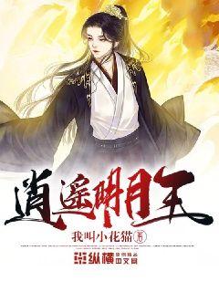 時代之光下的璀璨篇章，明月珰最新連載熱議熱議熱議！