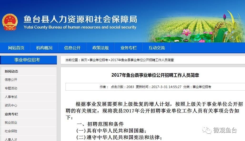 魚臺最新招聘信息大全，求職步驟指南與招聘信息更新速遞