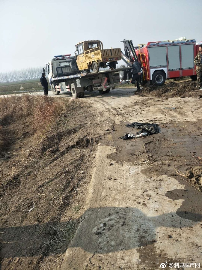 泗縣車禍悲劇，警醒與深思背后的最新新聞報(bào)道