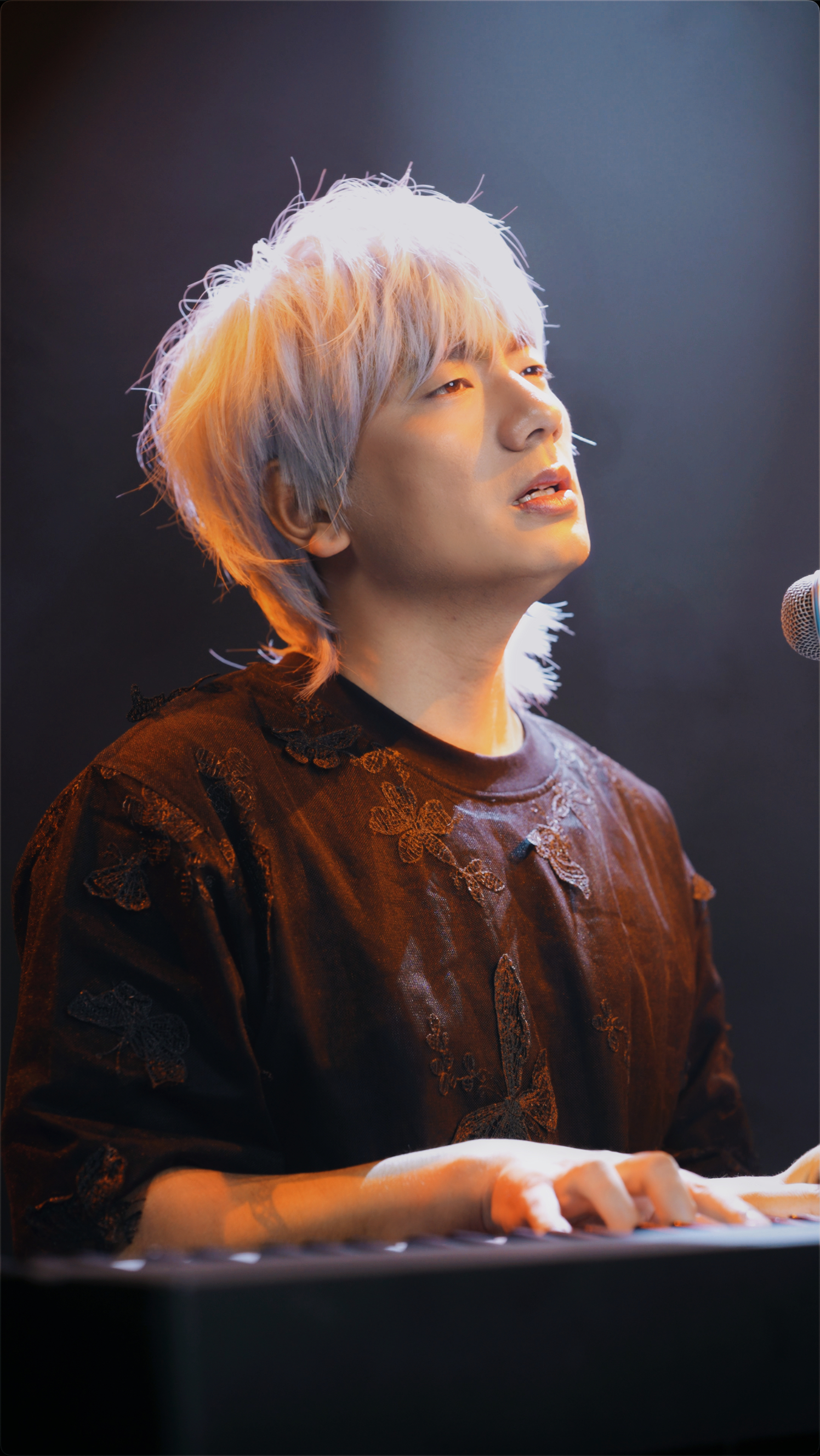 冷漠2024最新預告新歌，音樂與時代交融的期待之聲