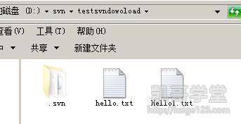 Jav最新網(wǎng)址探索，小巷深處的獨(dú)特風(fēng)味之旅