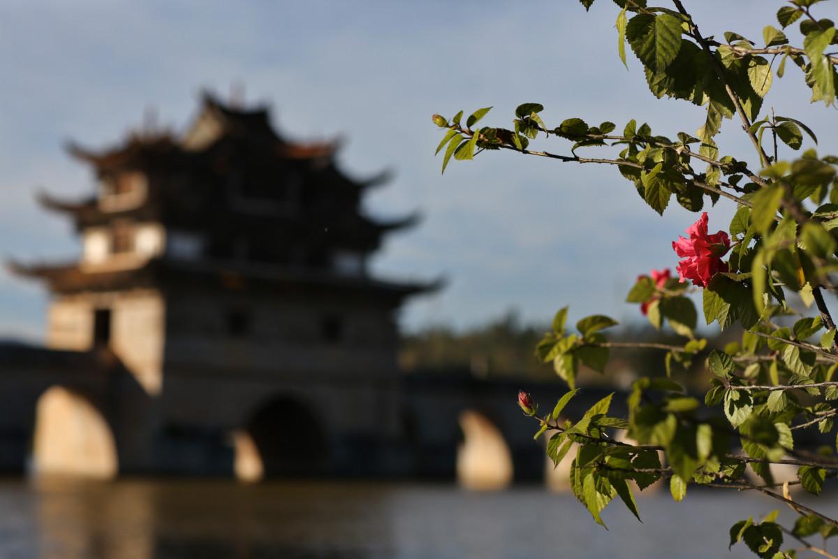 大冰最新力作，智能生活新紀(jì)元——科技與生活的完美融合