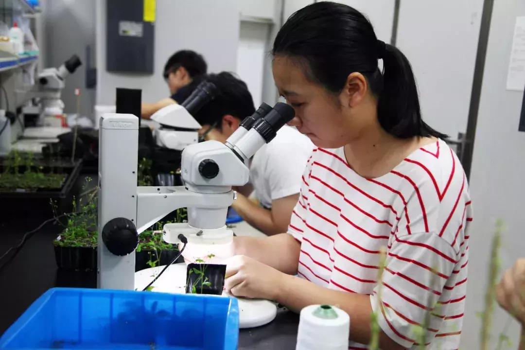 最新學(xué)科評(píng)估,最新學(xué)科評(píng)估引領(lǐng)科技革新——未來(lái)生活觸手可及的高科技產(chǎn)品介紹