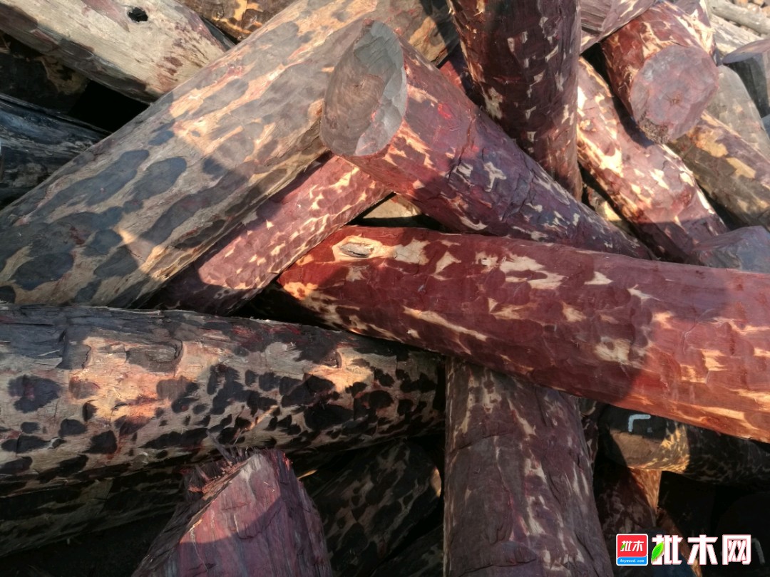 工程廠(chǎng)房燈具 第257頁(yè)