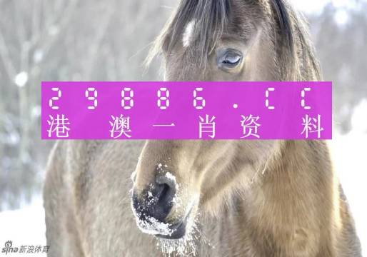 澳門一肖一碼精準(zhǔn)100%-百,精準(zhǔn)解答方案詳解_機器版61.644