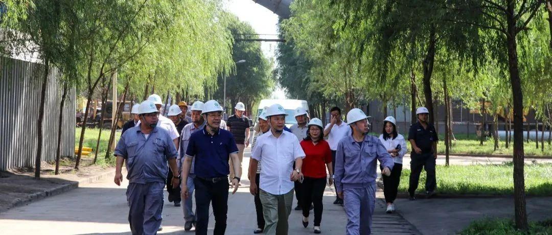 最新鍋爐工招聘信息揭秘，鍋爐工的溫馨日常故事探索