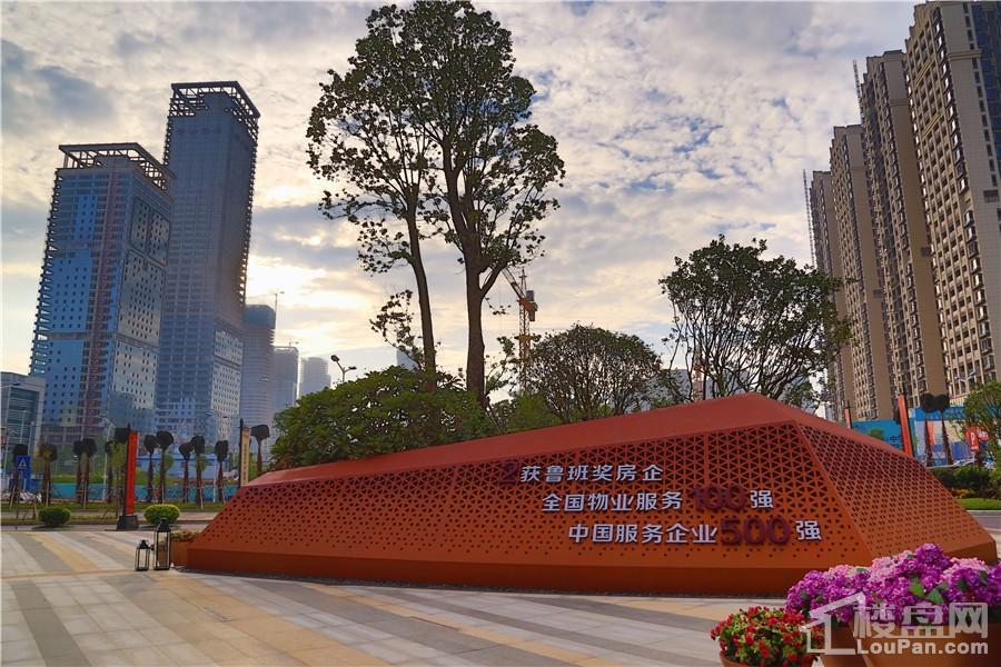 南寧彰泰城最新動態(tài)，解讀其最新發(fā)展及影響的一種觀點分析