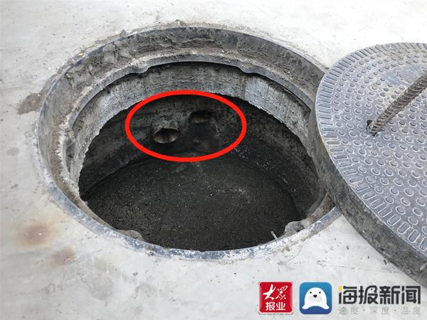 福建臺(tái)幫幫團(tuán)最新一期揭秘，小巷深處的隱藏美食瑰寶