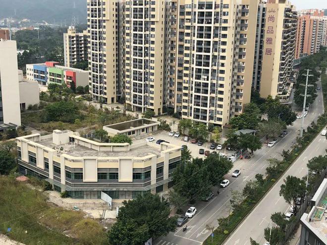 膠南山水雅居最新動(dòng)態(tài)，鄰里日常趣事與情感紐帶分享