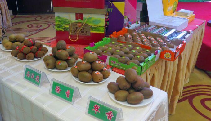 嘉興對接上海最新進(jìn)展，城市崛起中的自信與成就感展現(xiàn)新面貌