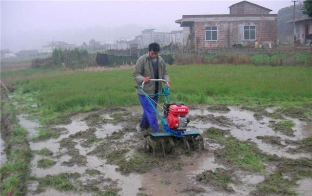 工礦燈具 第234頁