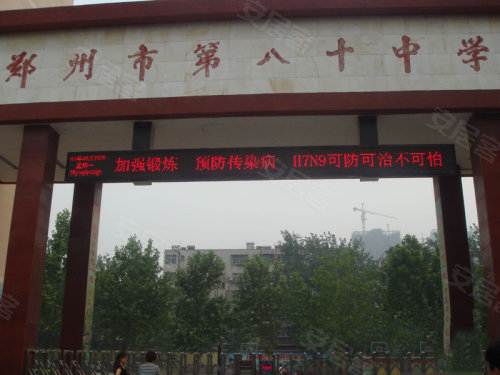 中原區(qū)九龍城最新動態(tài)深度解析，最新進展與觀點闡述
