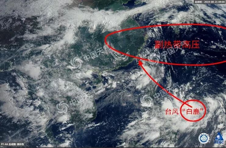 工礦燈具 第232頁
