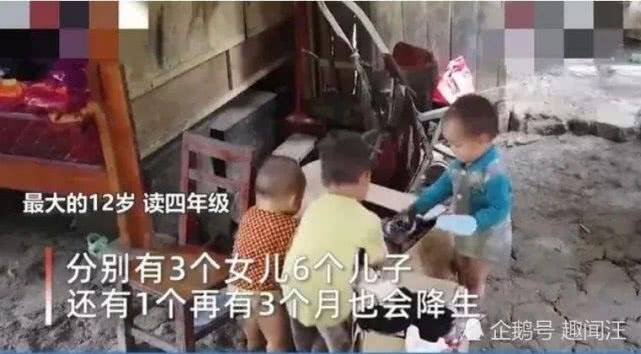 廣西最新預(yù)情，自然美景探索之旅，喚醒內(nèi)心平靜之旅