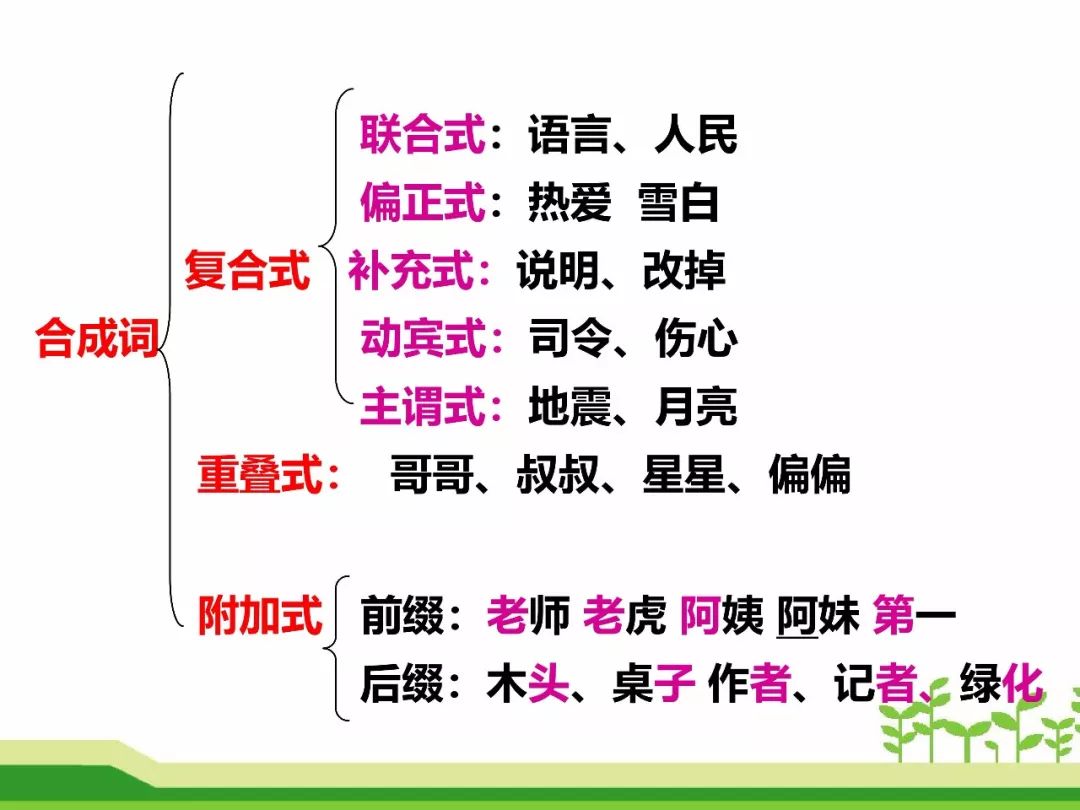 最新合成詞，語言發(fā)展的微觀視角探索