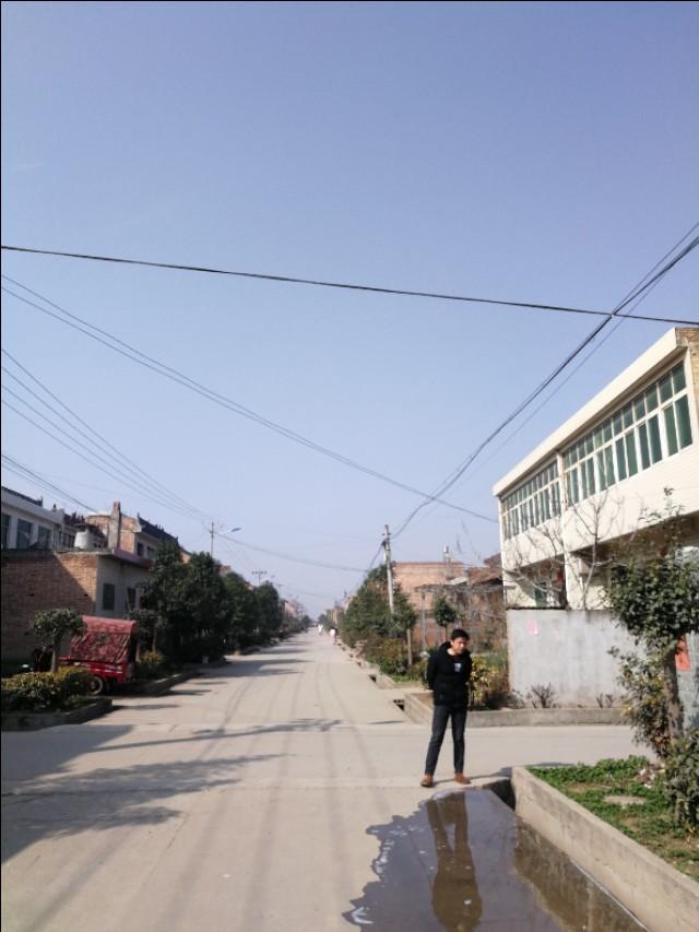 周至縣最新動態(tài)，發(fā)展脈搏與時代步伐的交融進展