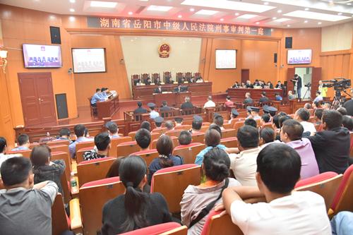 聶祖峰最新探索之旅，自然美景中的心靈尋覓與平和之境