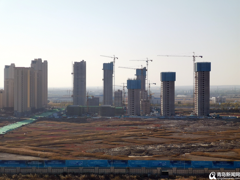 青島最新項目啟航新征程，自信成就夢想之路