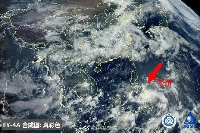 臺(tái)風(fēng)鸚鵡的最新動(dòng)態(tài)，逆風(fēng)翱翔的力量與學(xué)習(xí)魅力