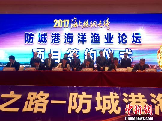 防誠(chéng)港最新,防誠(chéng)港的最新發(fā)展，機(jī)遇與挑戰(zhàn)并存