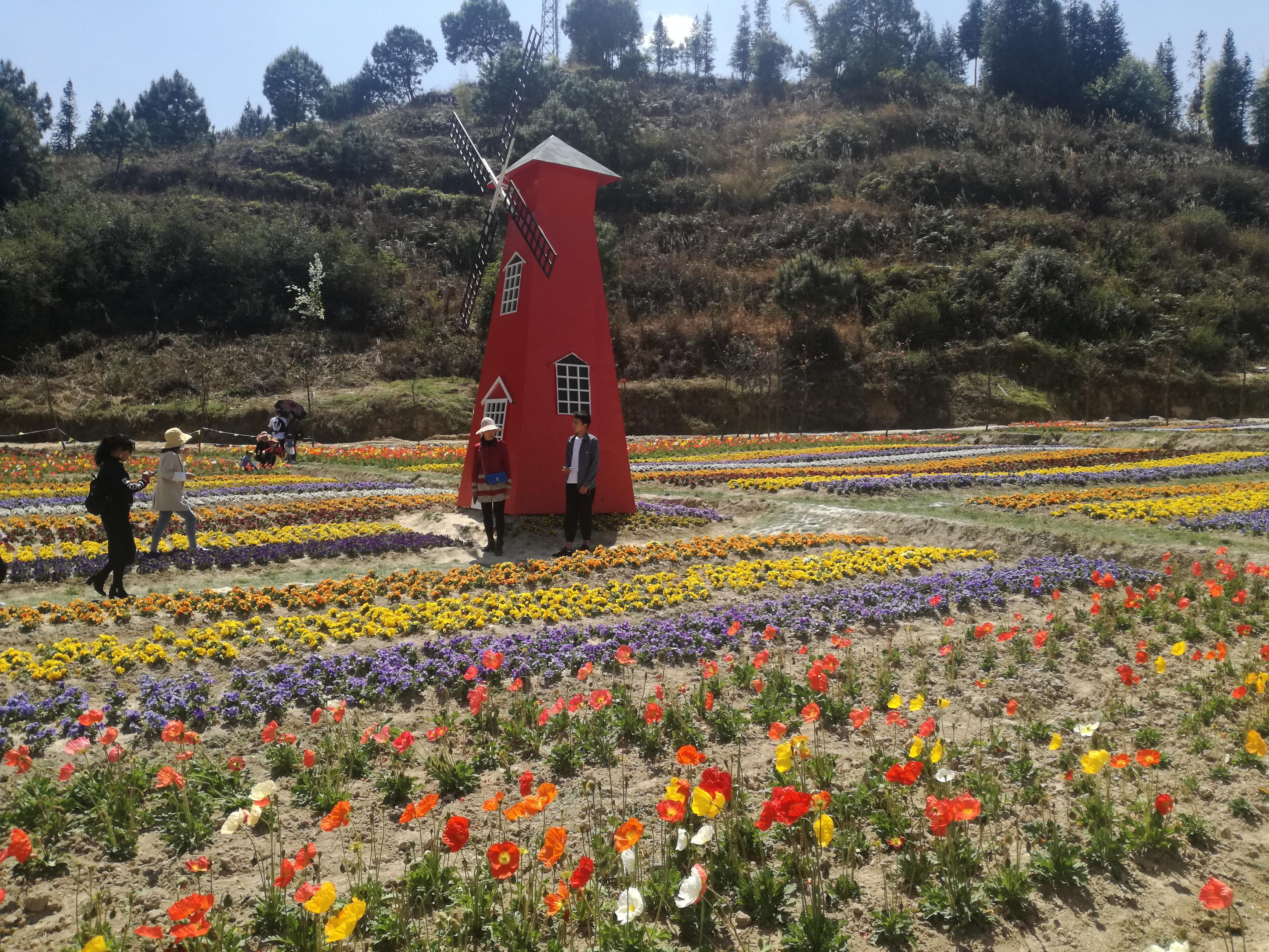 臨滄市最新探索，自然美景之旅，尋找內心平和的旅程