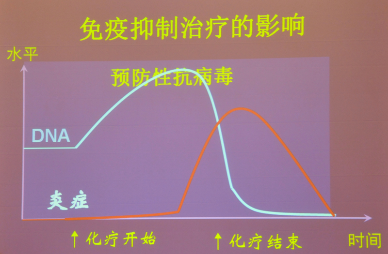 肝炎新進(jìn)展揭秘，小巷深處的秘密小店探索