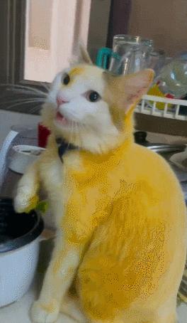 男友最新動態(tài)，科技巔峰之作，引領(lǐng)未來生活新紀(jì)元風(fēng)潮