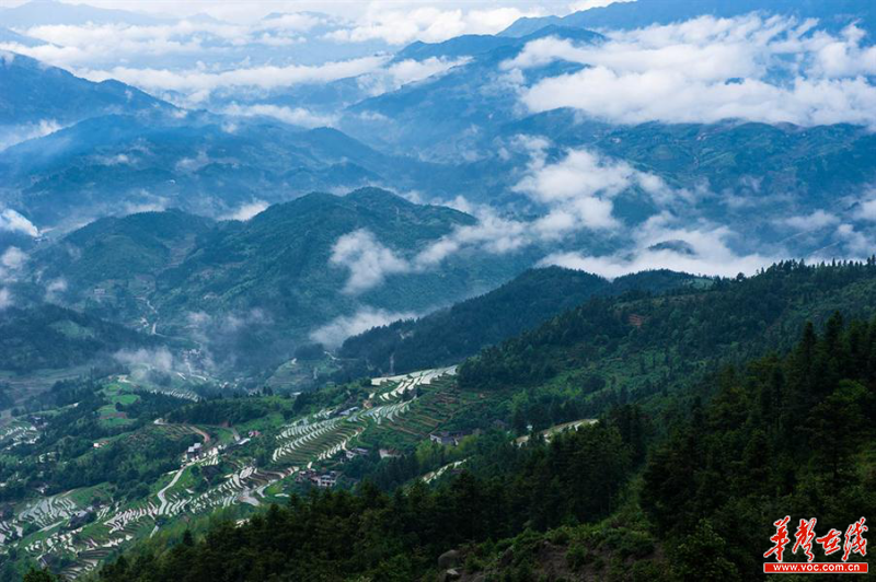 雪峰山資訊，一段溫馨有趣的探索之旅