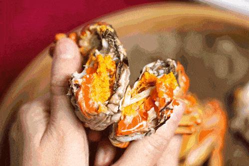 ??陽澄湖螃蟹上市季節(jié)情報，吃貨必知的秋季美味盛宴！??