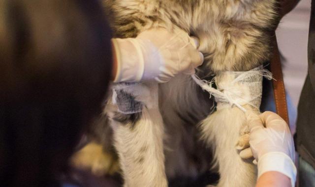 蘇州近期街邊情況，自然美景的心靈之旅體驗(yàn)紀(jì)實(shí)