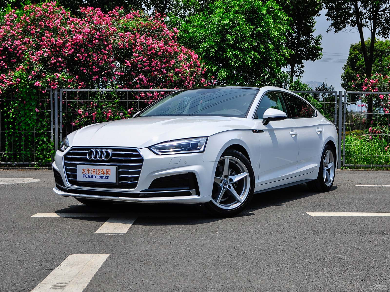 新款奧迪A5價格及圖片，自然美景探索之旅的絕佳選擇