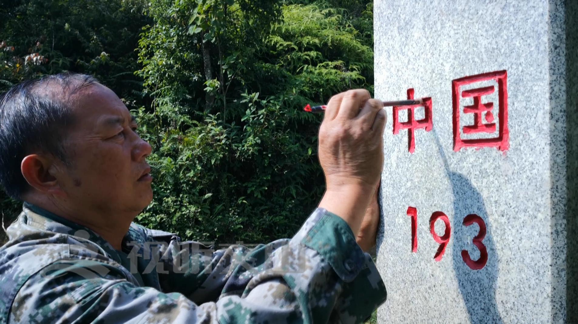 文山黃牛打架比賽，傳統(tǒng)與爭(zhēng)議的碰撞