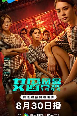 淘君爹最新影片，小巷深處的電影寶藏探索