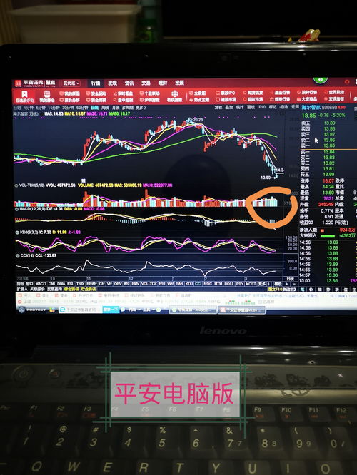 股票電腦版，開(kāi)啟溫馨的股市之旅