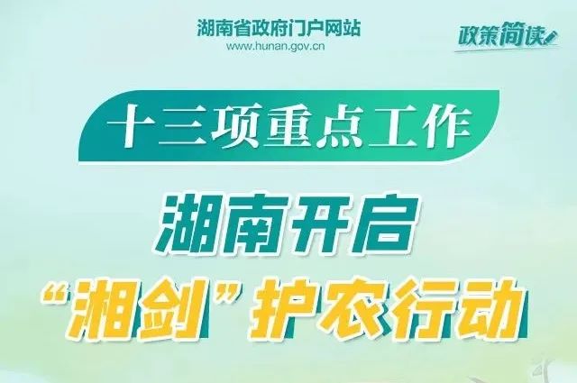 鋁業(yè)巨頭山鋁南定舉辦最新職位招聘盛宴，人才招募火熱進行中！