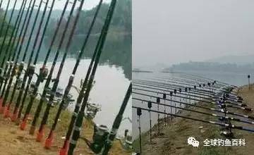 海竿釣魚比賽，技巧、魅力與激情的海洋探秘之旅